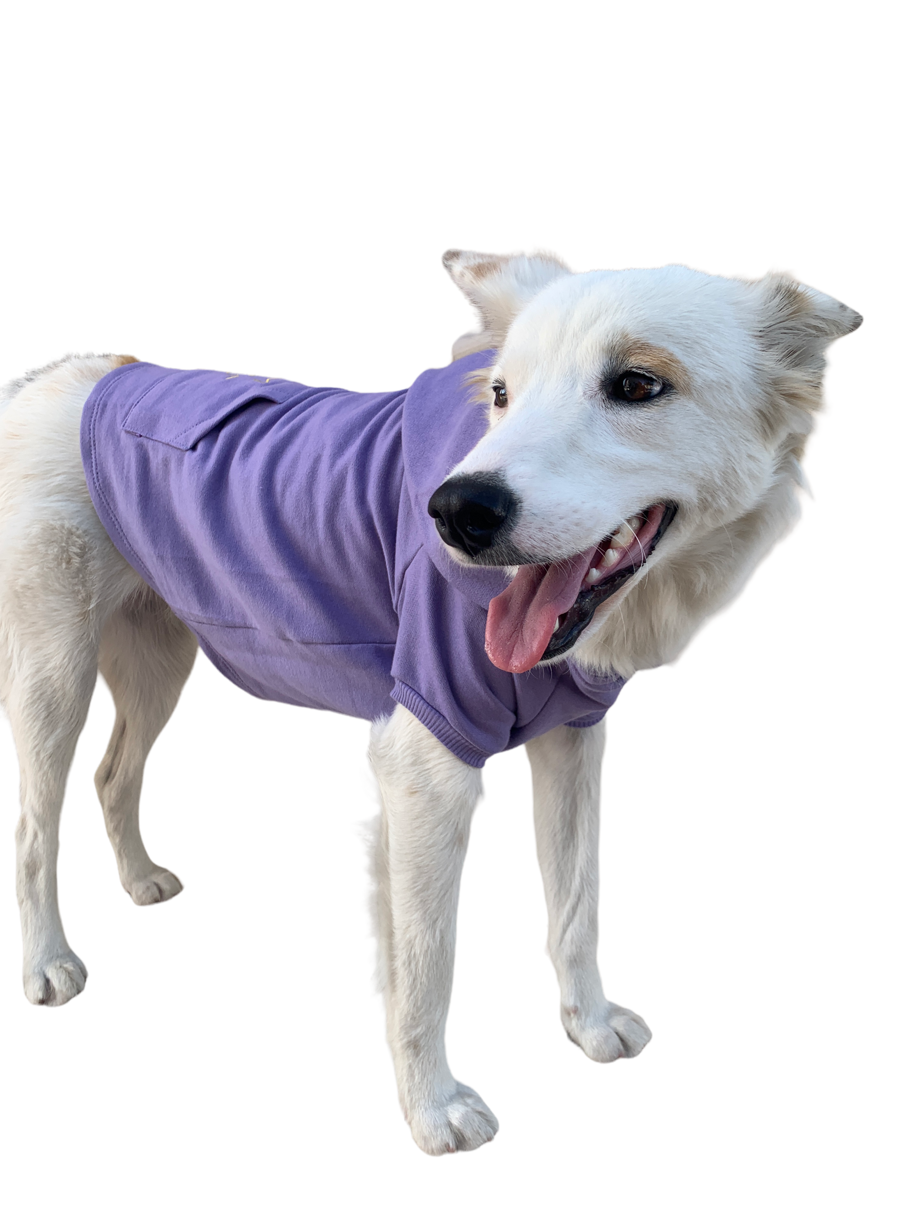 Moletom Essencial Roxo4