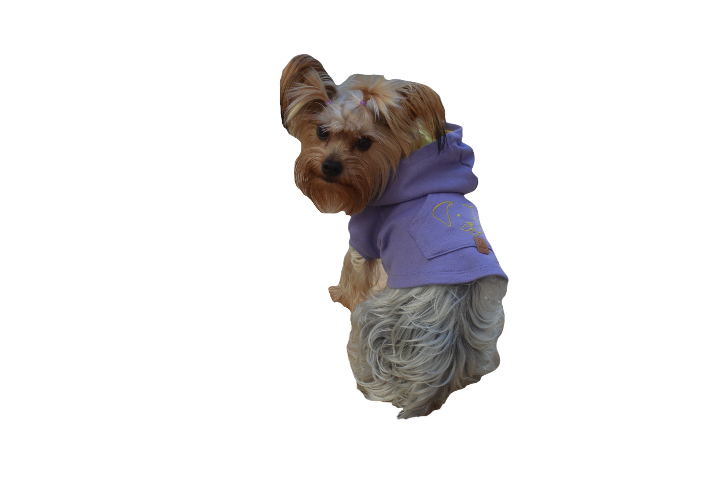 Moletom Essencial Roxo5